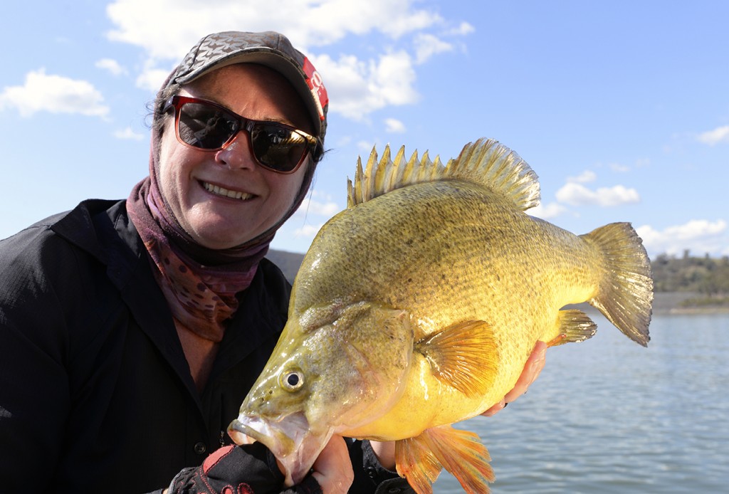In the opening round of The Australian Freshwater Masters, competitors targeted the aptly-named golden perch or yellowbelly of Lake Windamere.